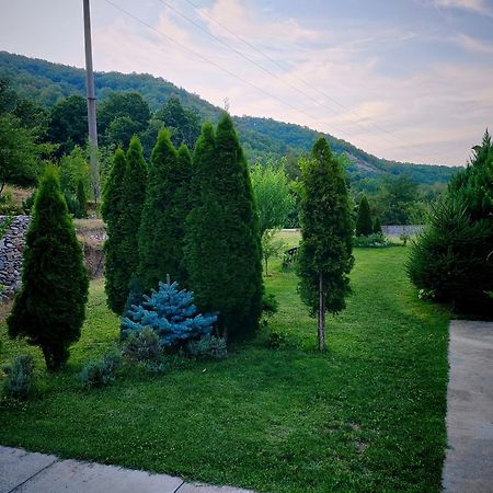 Taverna Gradetului Schitu Topolnitei Esterno foto