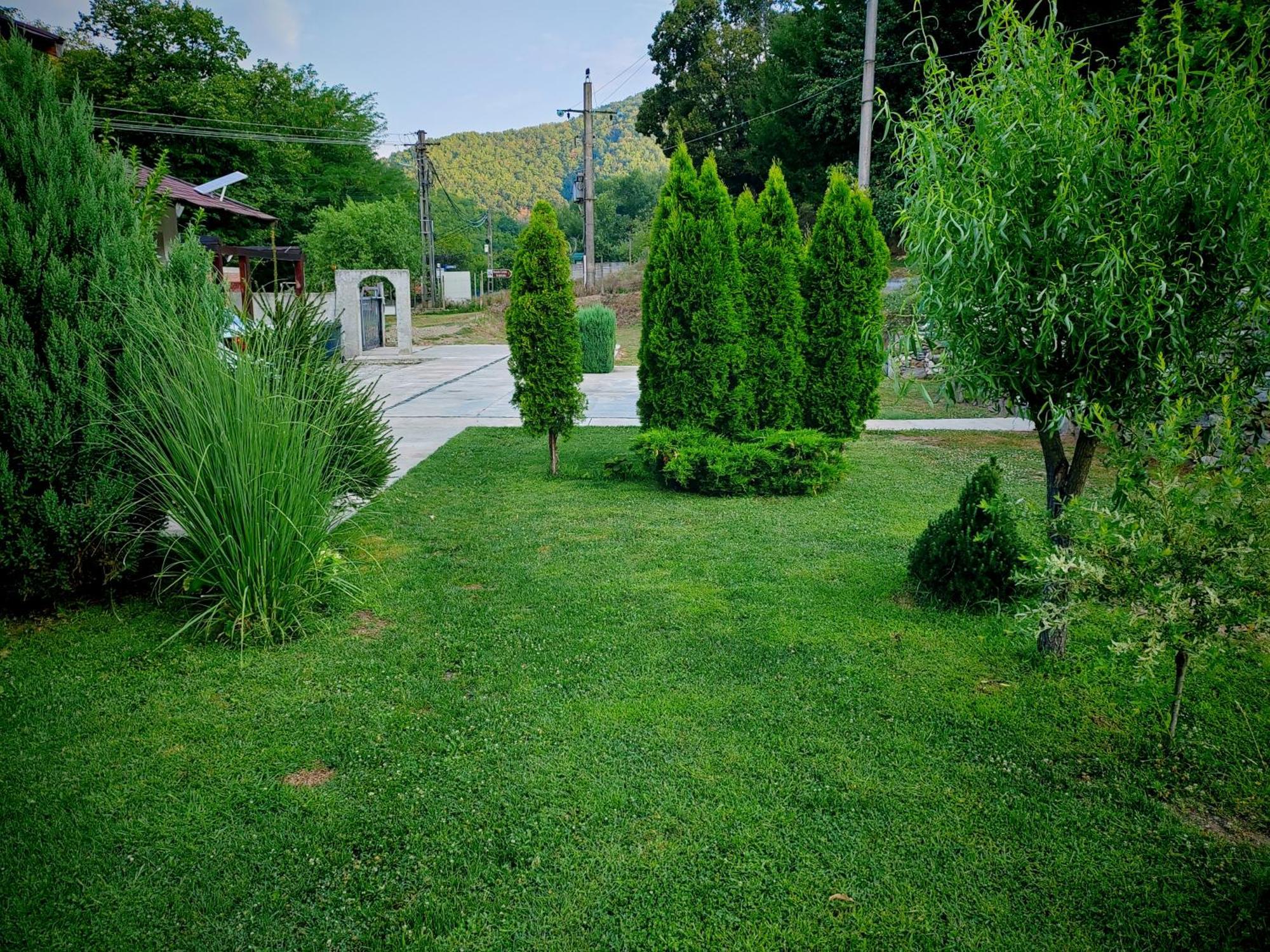 Taverna Gradetului Schitu Topolnitei Esterno foto