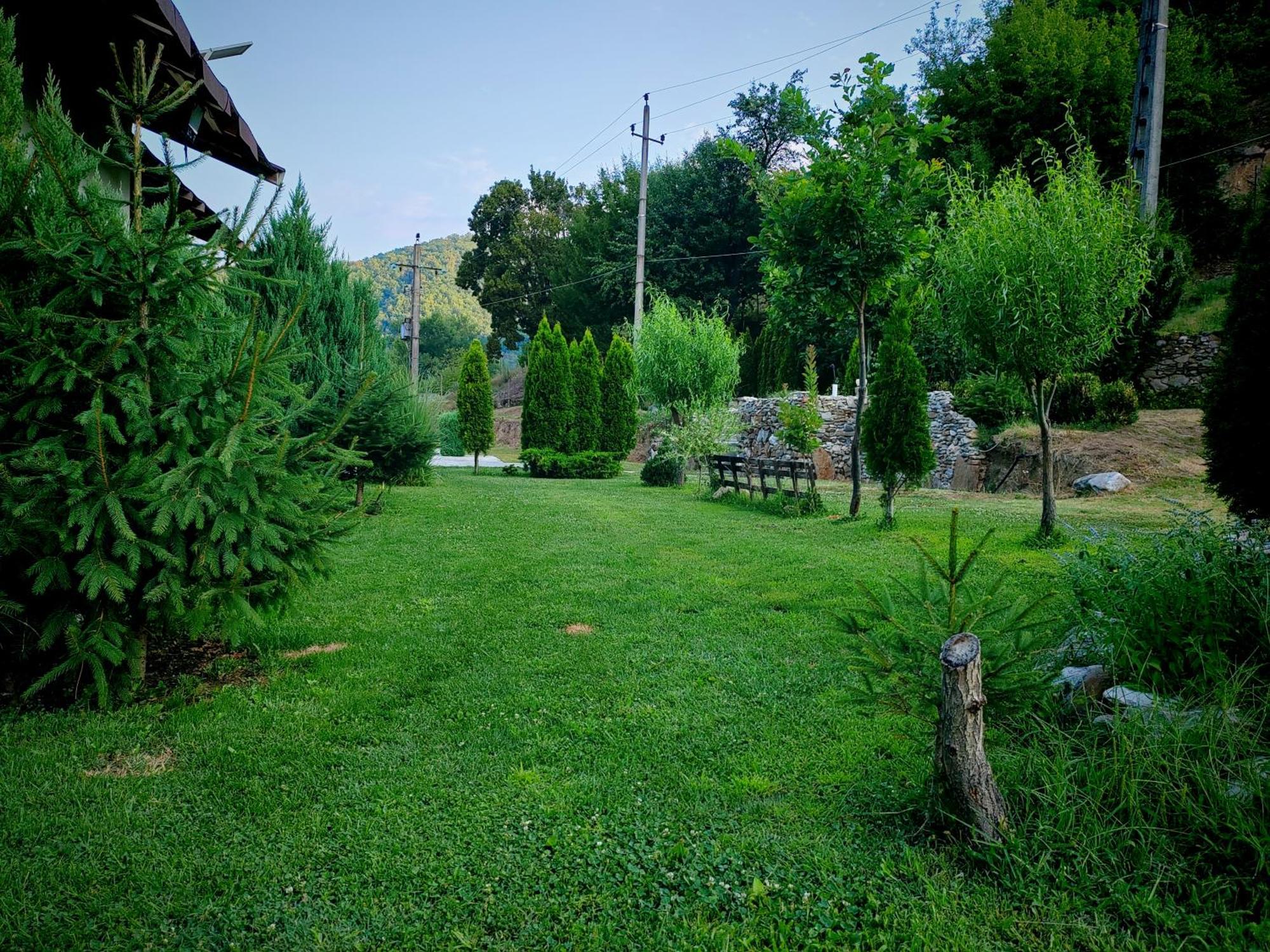 Taverna Gradetului Schitu Topolnitei Esterno foto